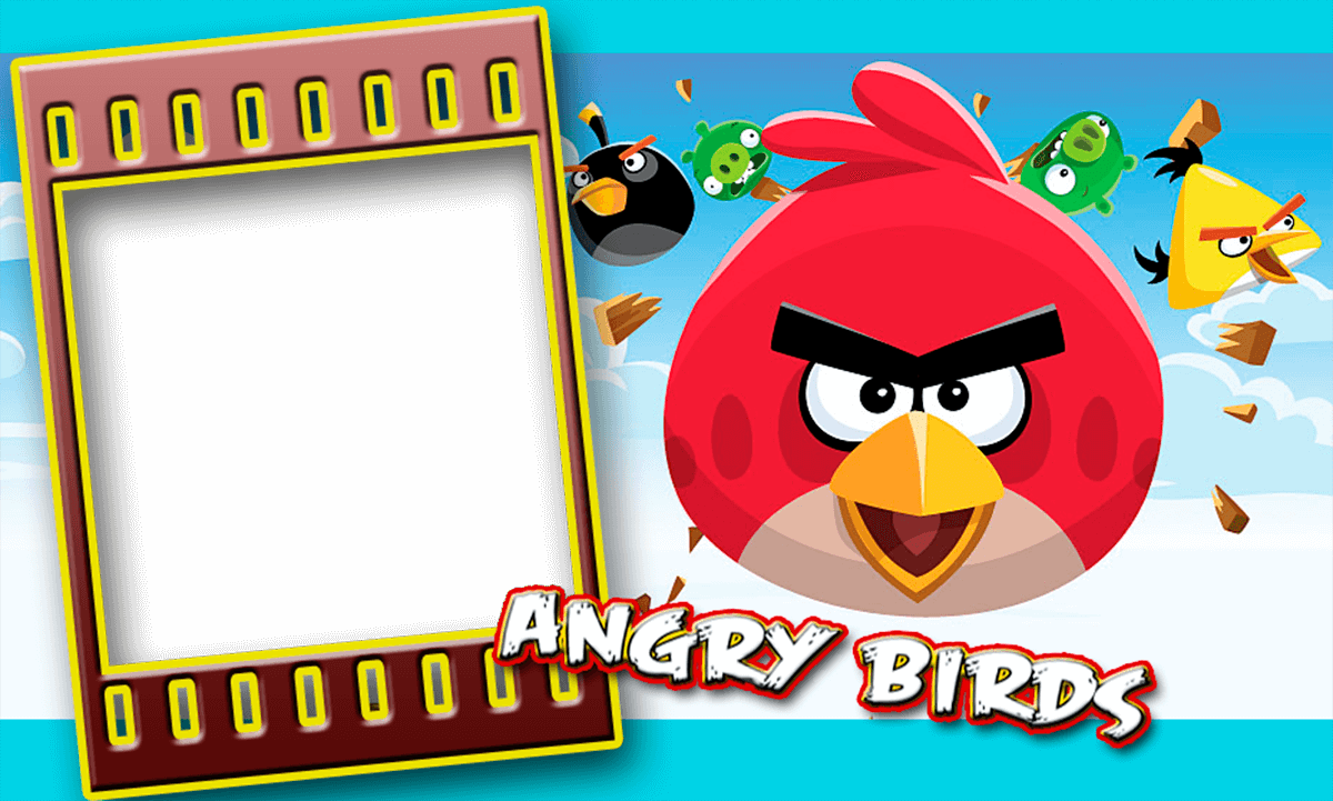 Marco de foto angry birds